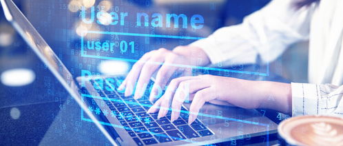 ?？朴嬎銠C專業涵蓋的數據處理服務領域詳解